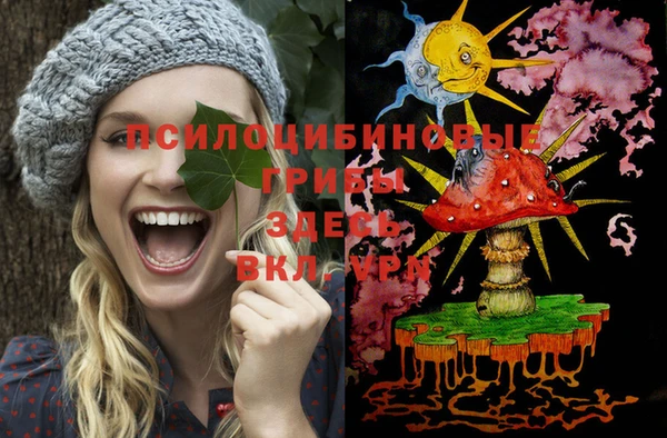 герыч Медногорск